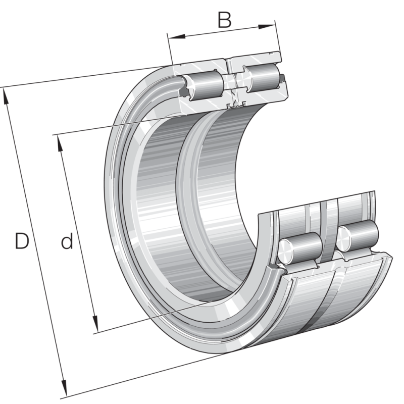 Bearing SL 045008-PP